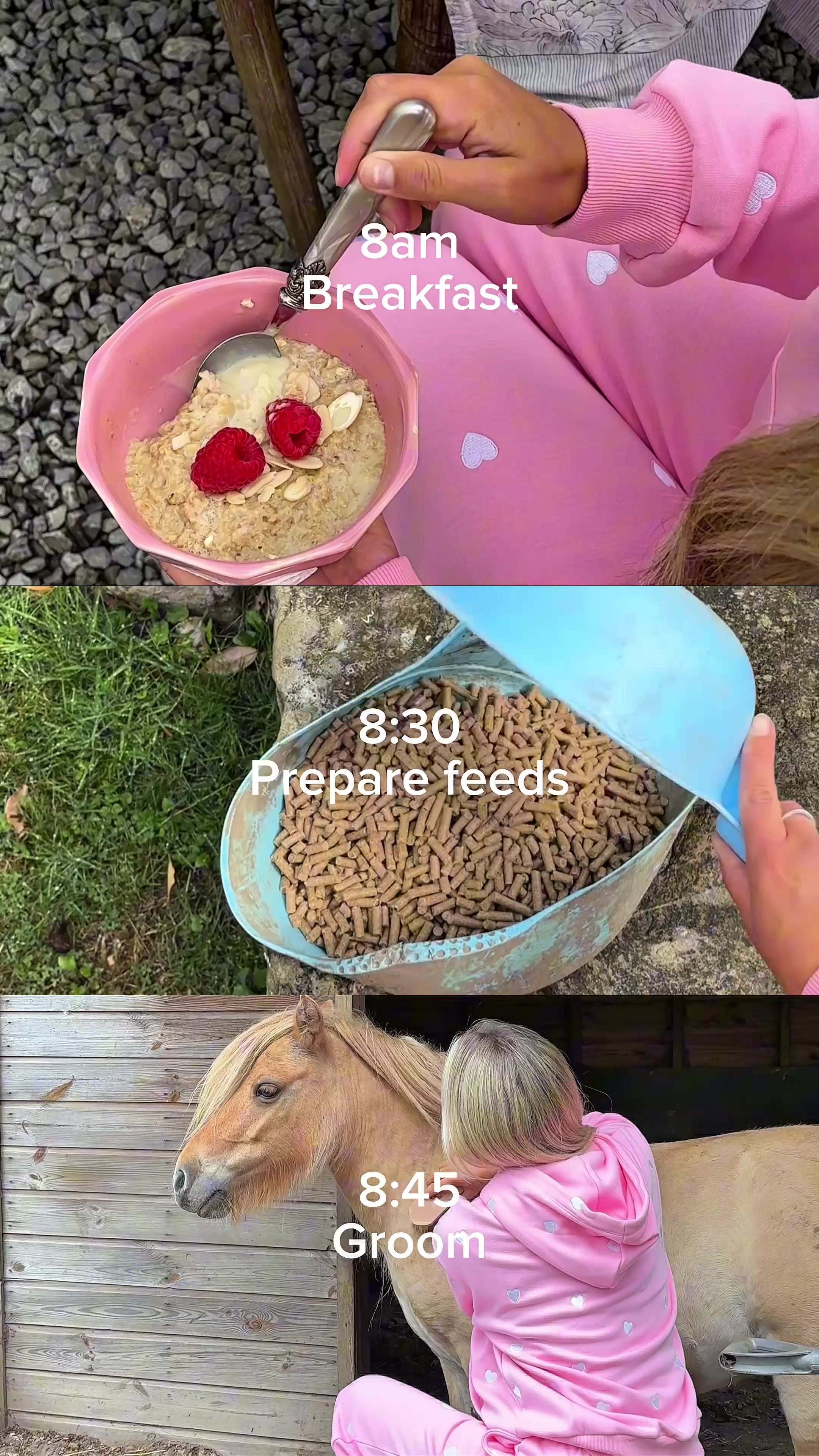 @BlackHeartEquestrian