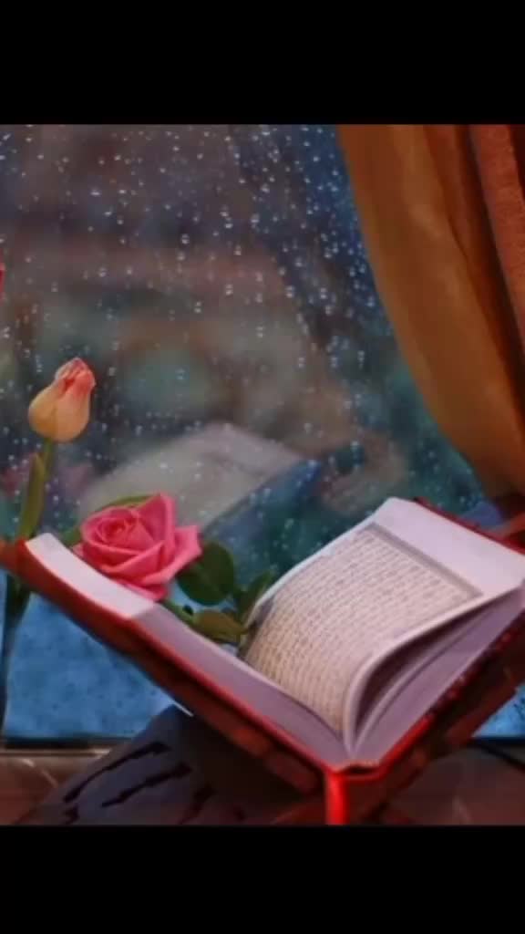@عليك بنت تمام❤