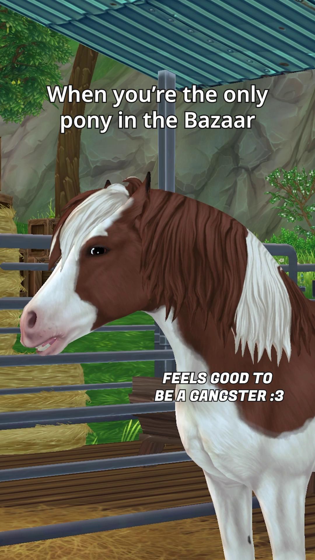 @Official Star Stable