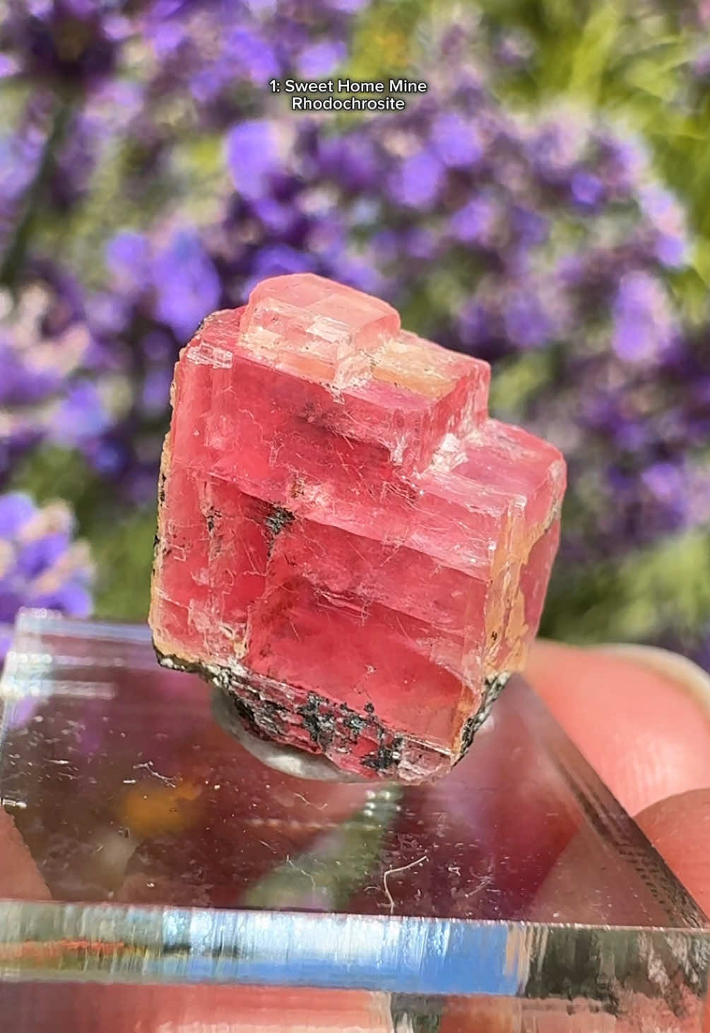 @Spirit Nectar Gems