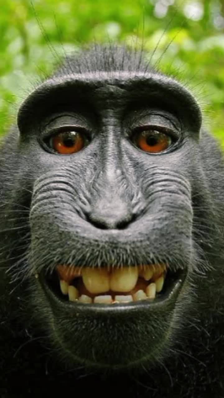 @It's_ me_ Gian