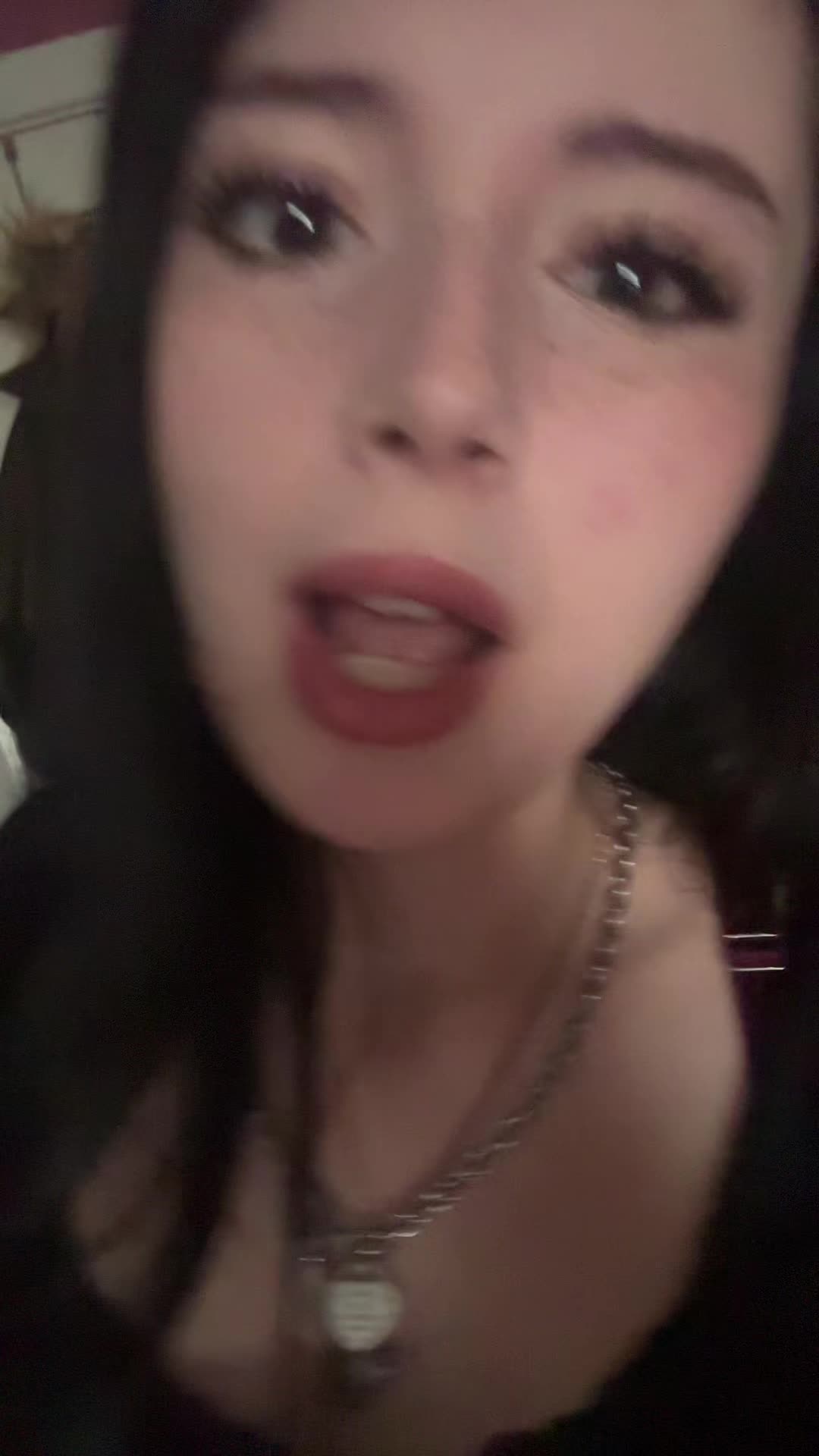 @gatosmilfvxz