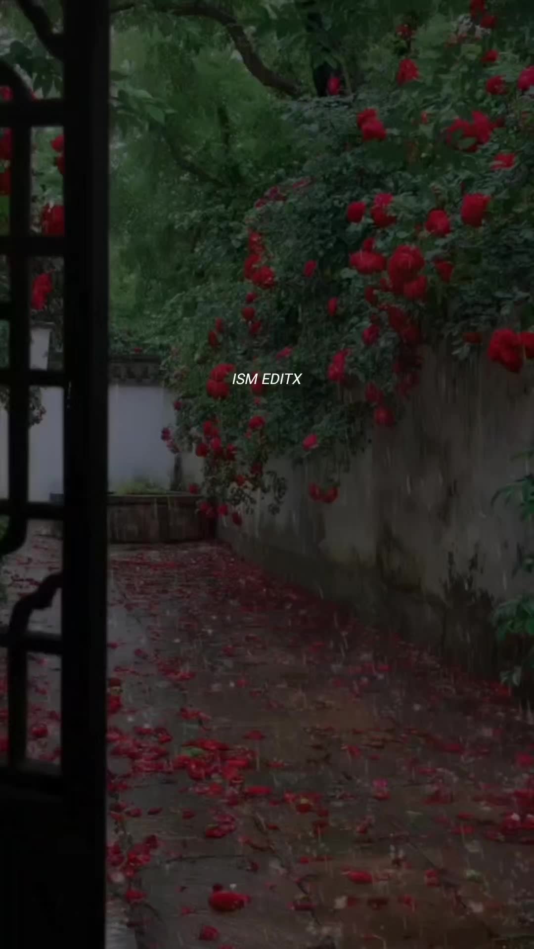 @اقراء❤️&zwj;🔥