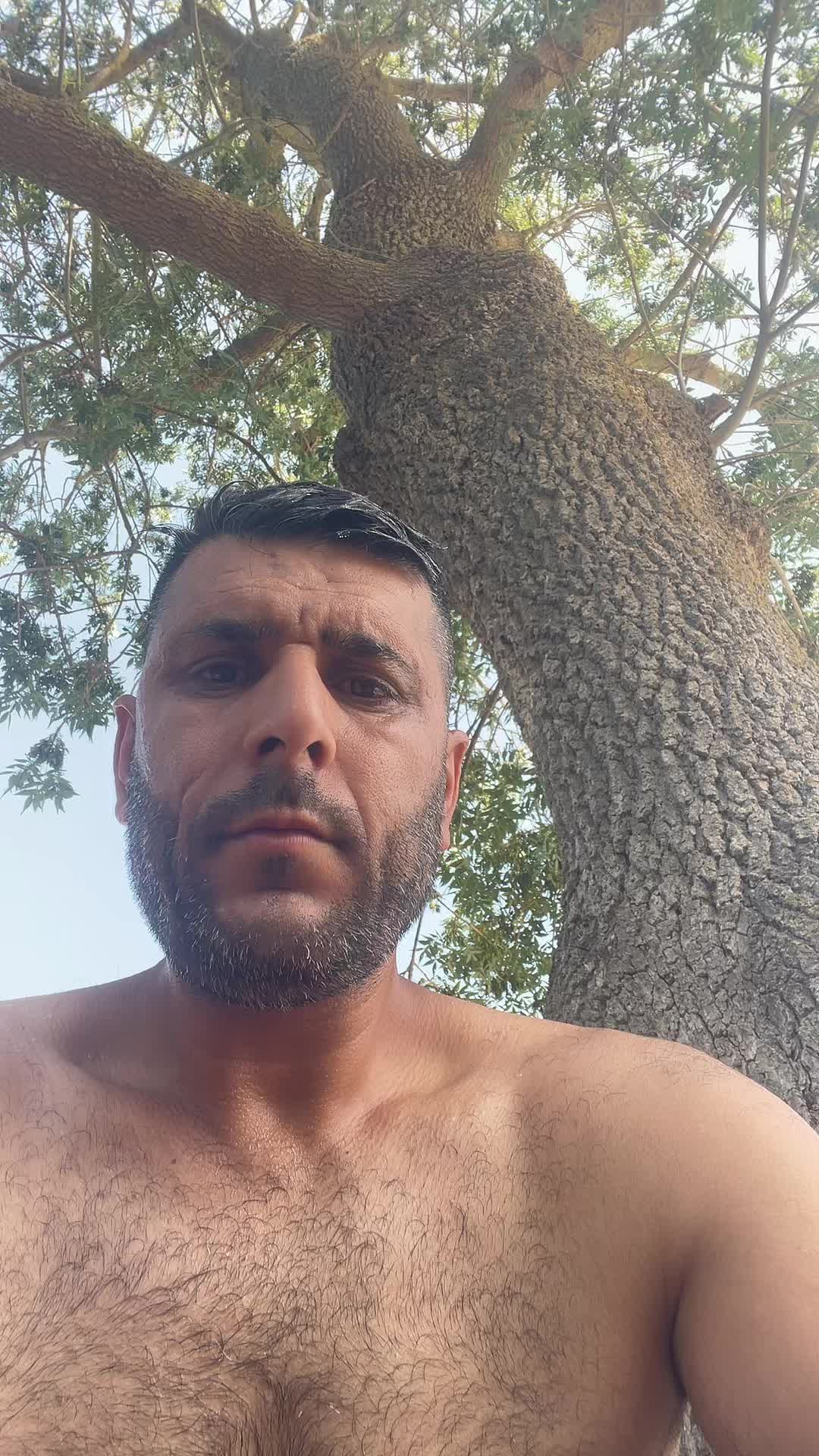 @Engiz