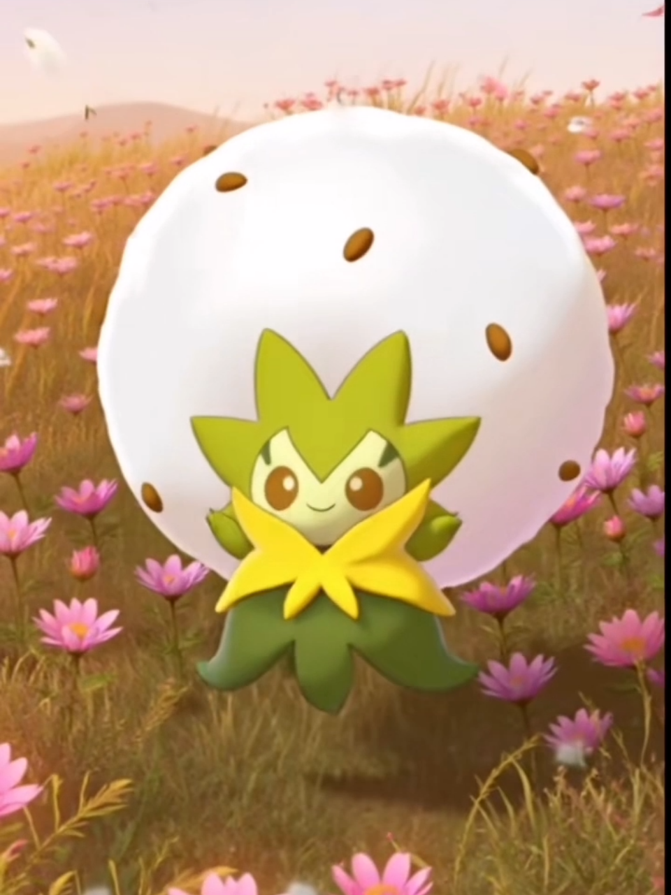 @PokeDance