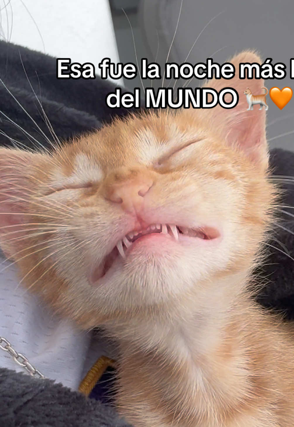 @Duna Alesso Fer