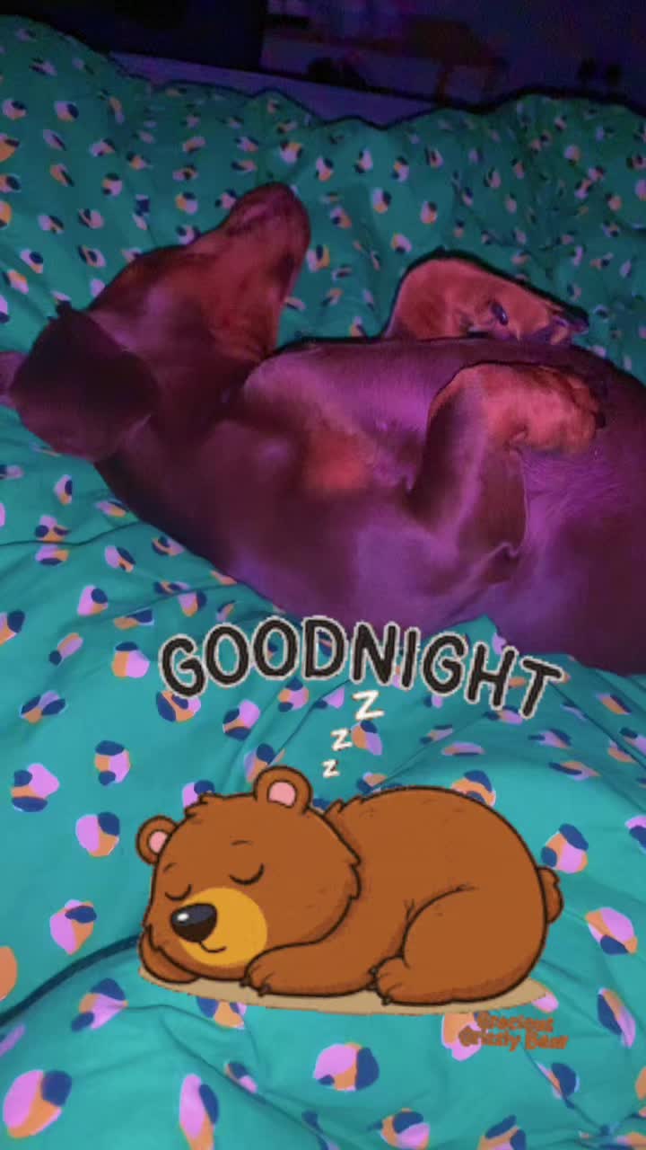 @Lisa