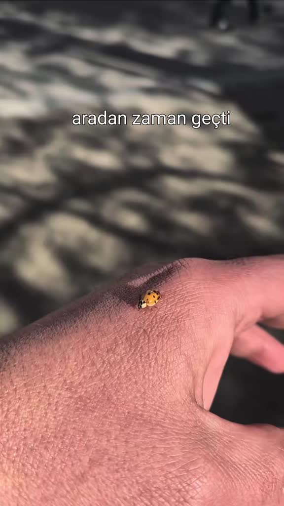 @🇹🇷͜͜͡͡✯𝘼𝙡𝙞 4️⃣6️⃣