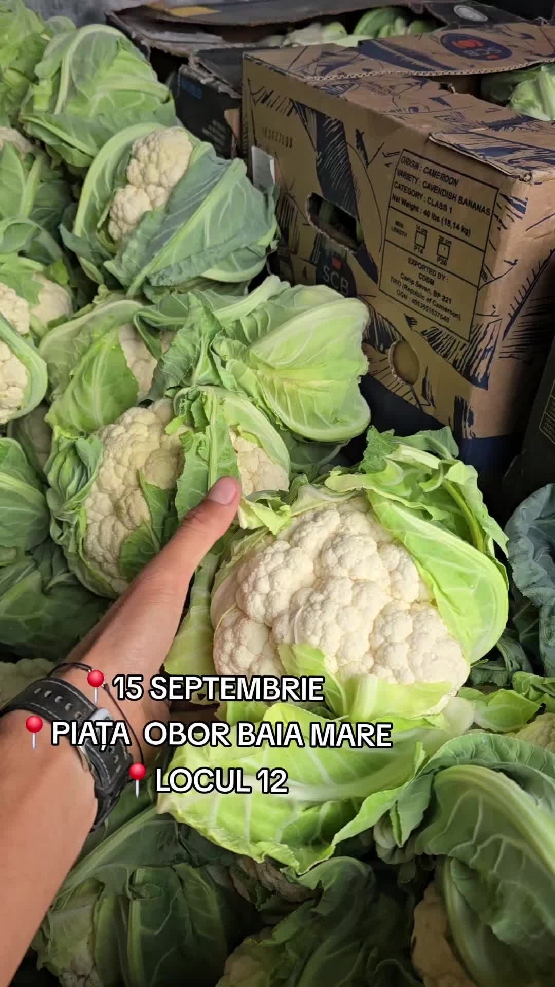 @Faze Farm