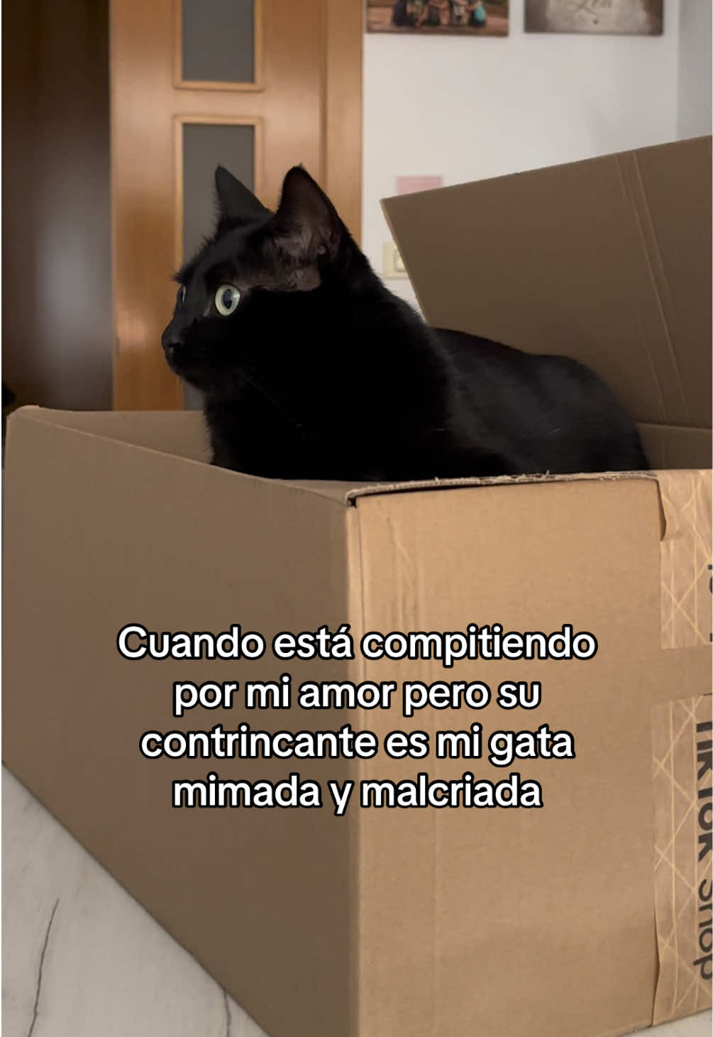 @BlackCatsMatter
