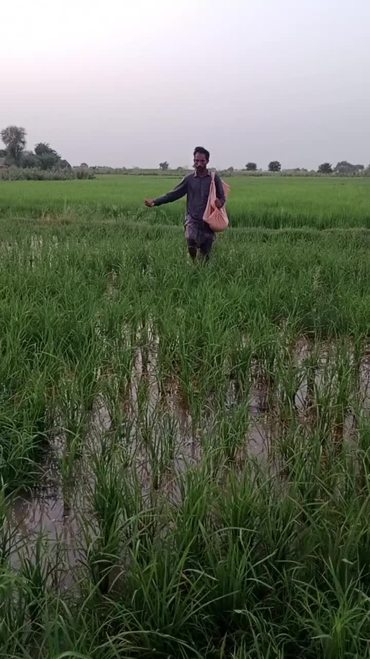 @🌹پنڈا آلے🌱🌾🇵🇰