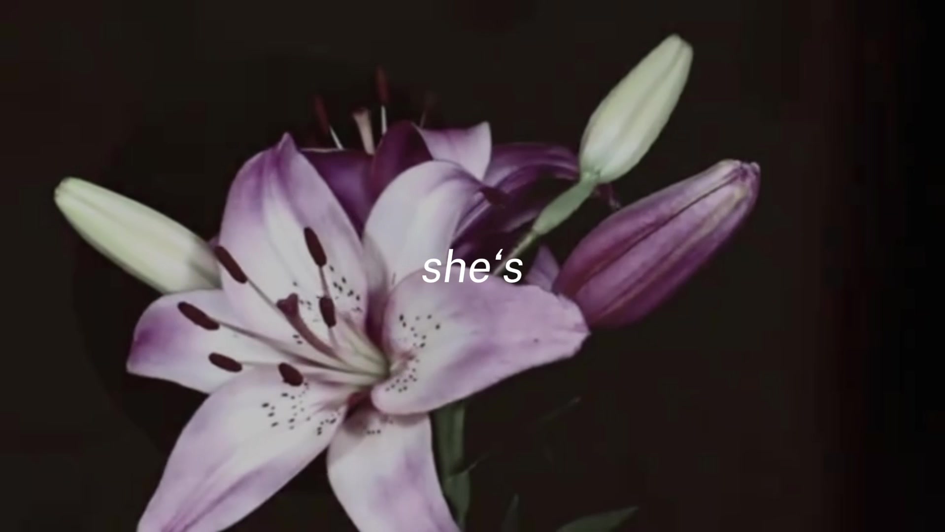 @???