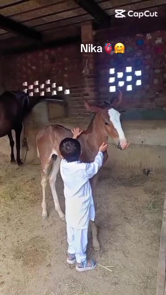 @Fahad JaTT Gangaal