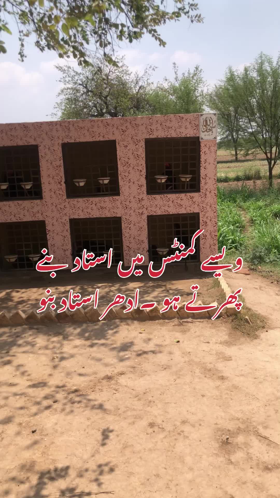 @Poultry Markaz