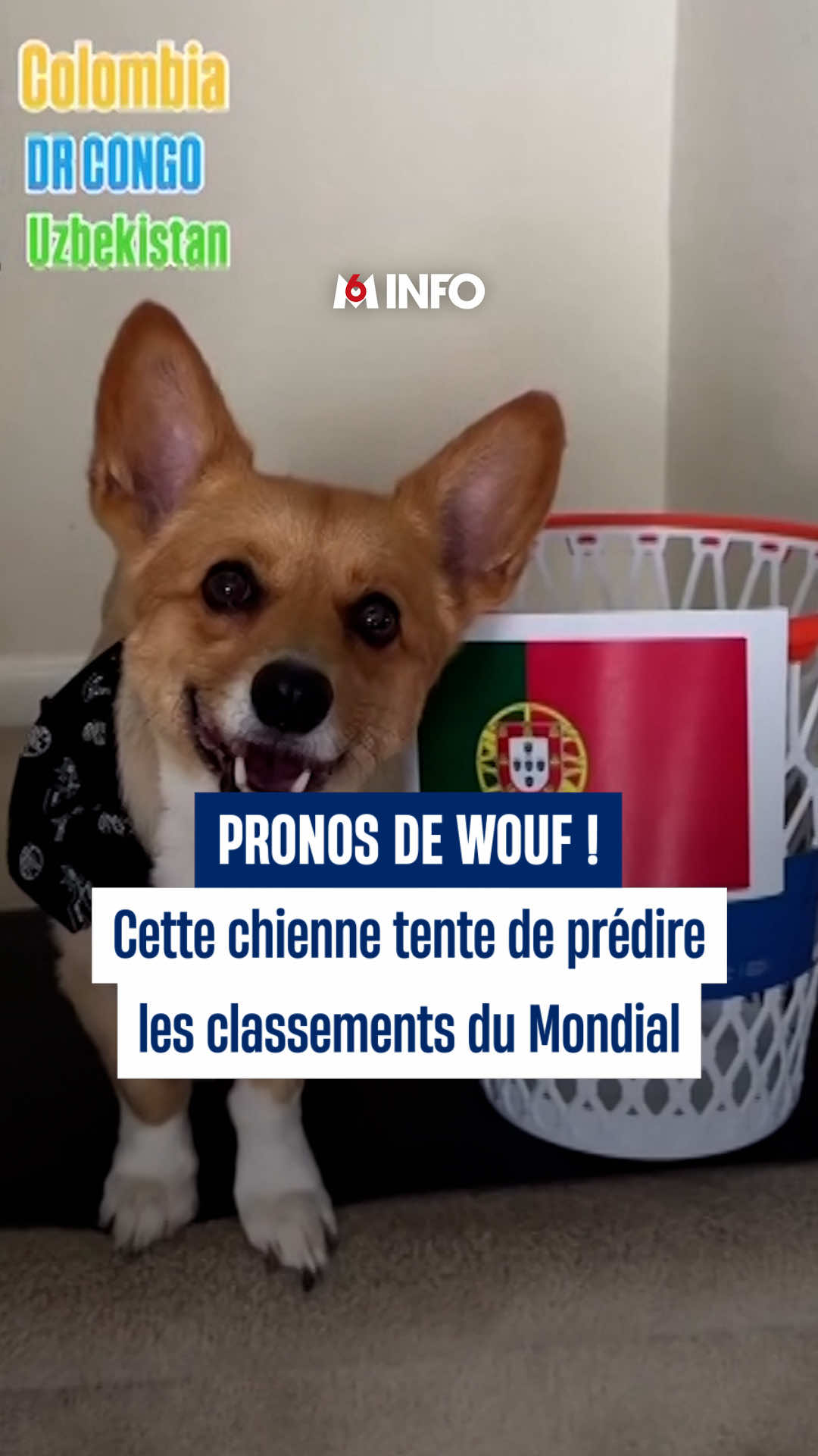 @M6 Info