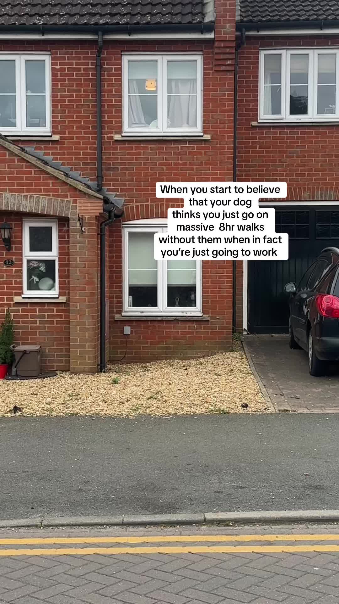 @Woody