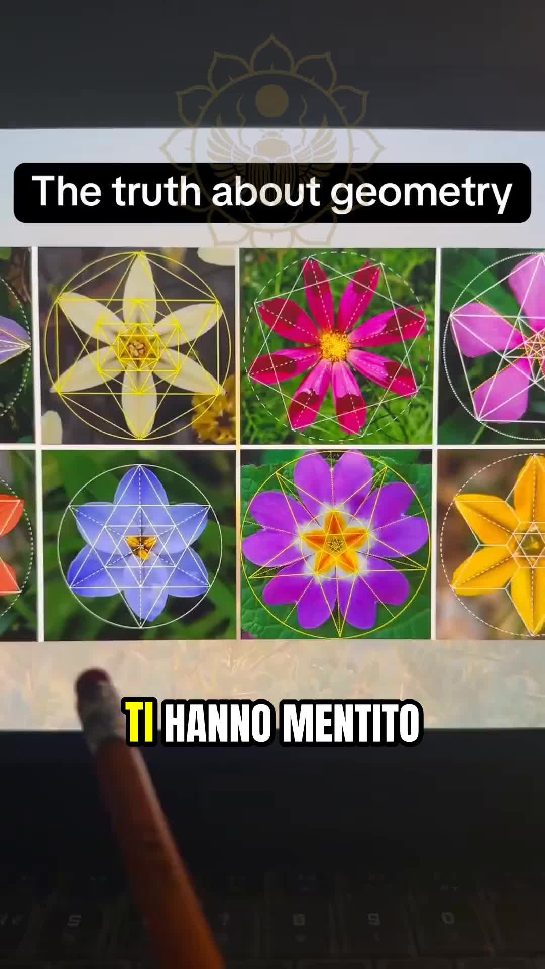 @Cognitio