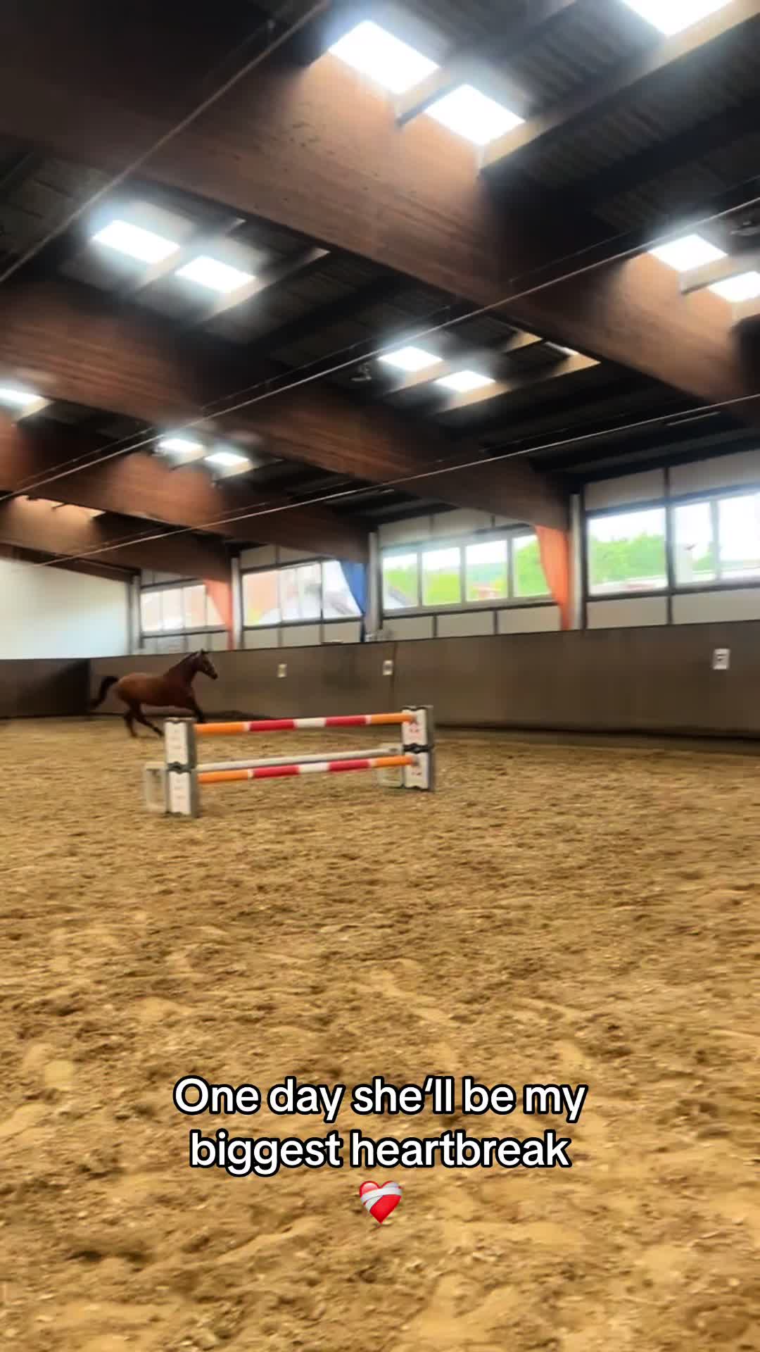 @🐎