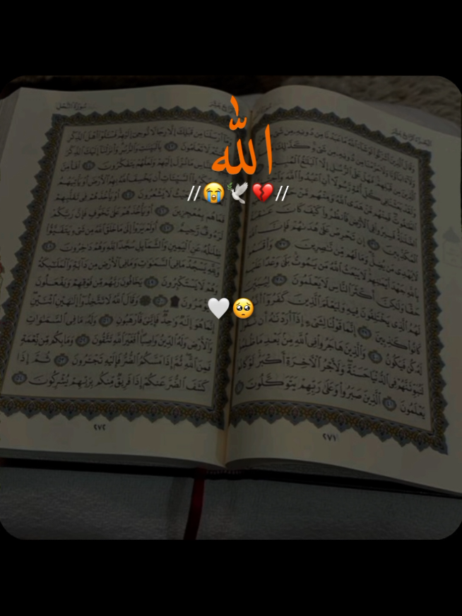 @✨Shahbaz-edit✨