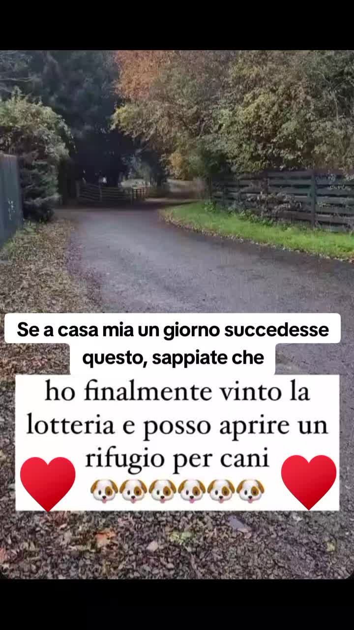 @Luce🦋🩷🌻