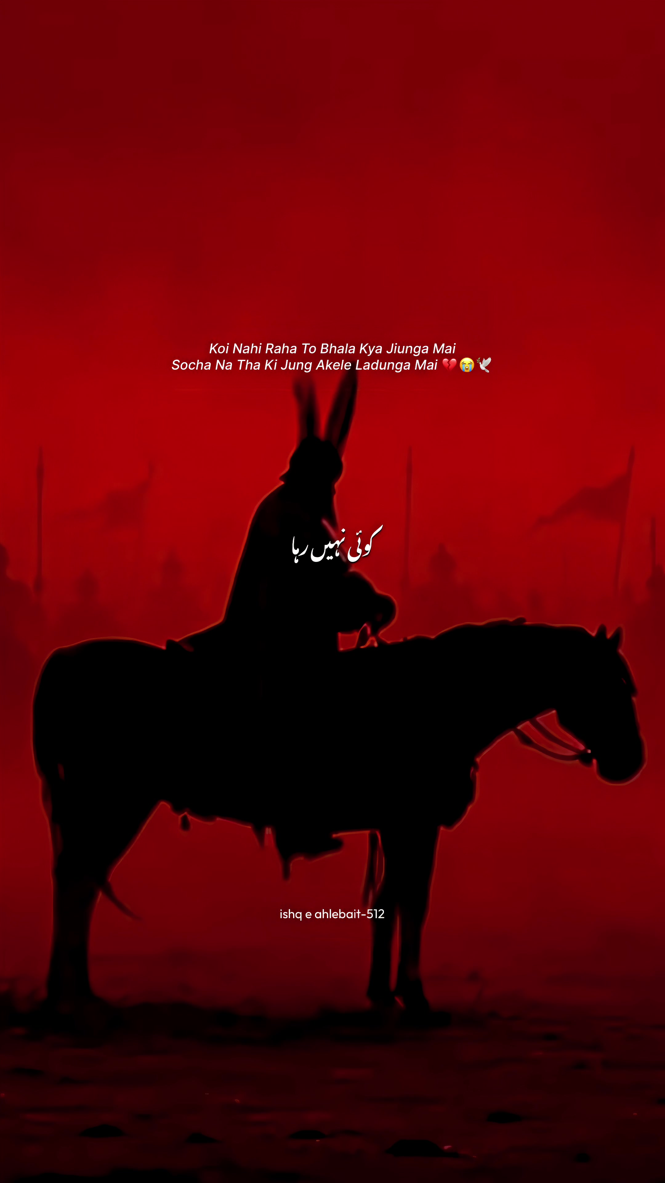 @~!;🤎✨سید زادہ