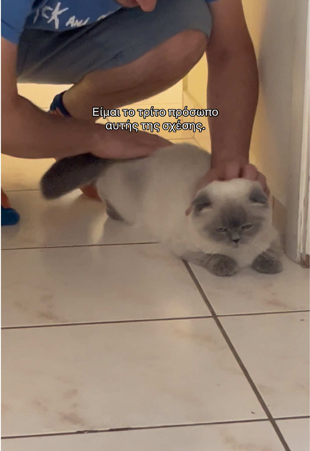 @Σοφία Περίδη