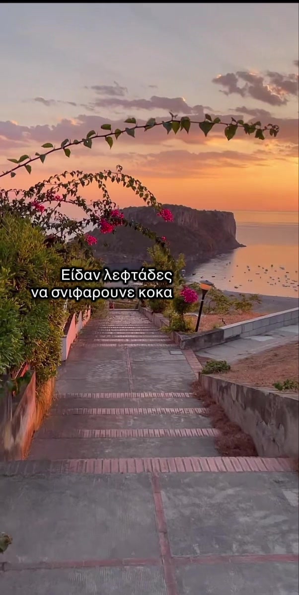 @Bella Meri