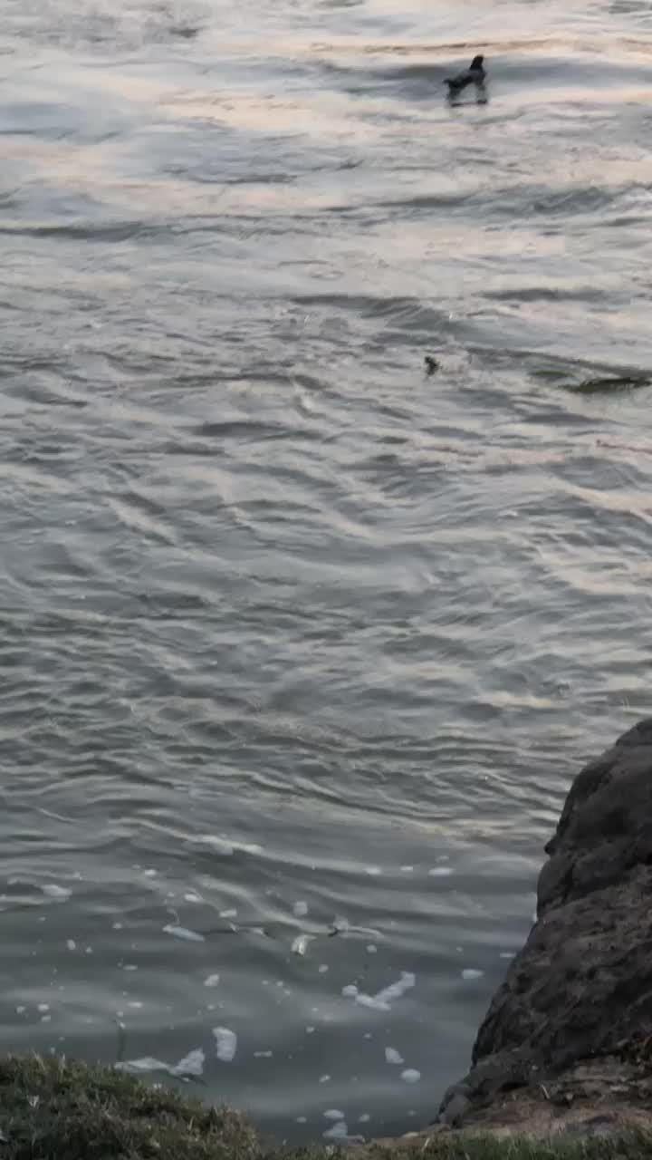 @🍂غمجن🍁