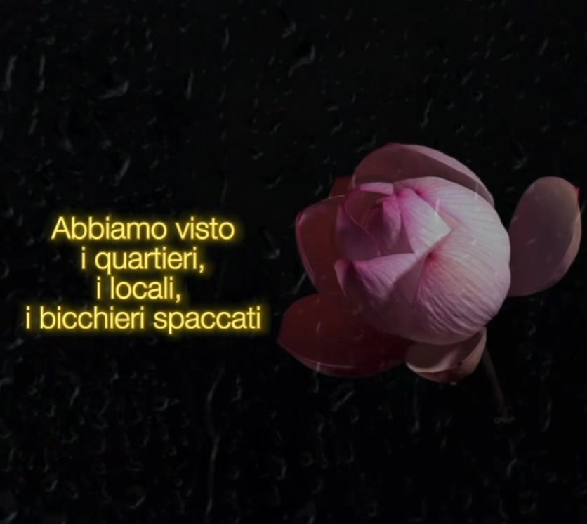 @❦._.✿