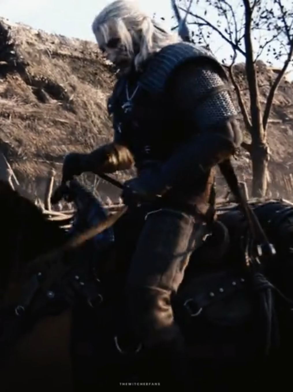 @The Witcher