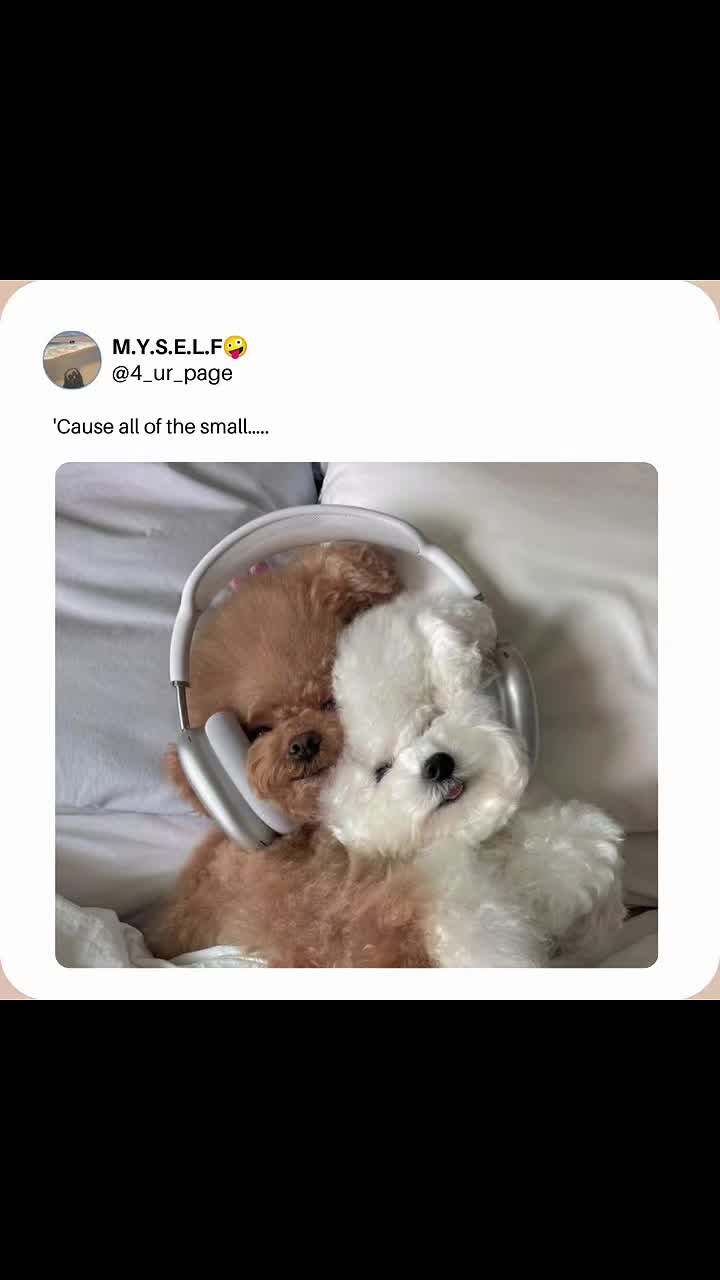 @M.Y.S.E.L.F🤪