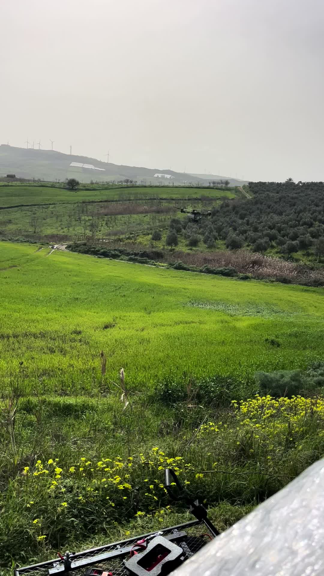 @DV.farm96