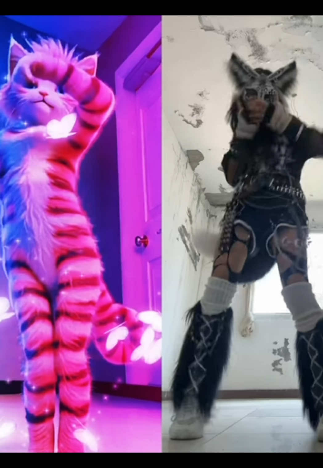 @STRIPEY