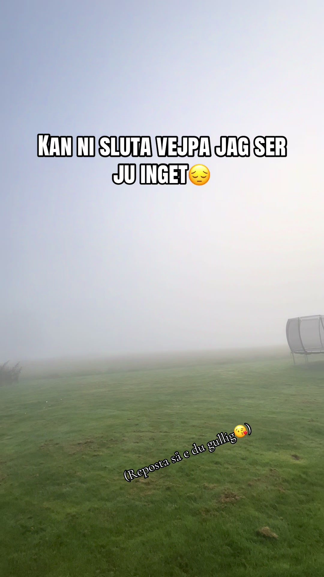 @🪖ℛℴℴ𝓈 🪖
