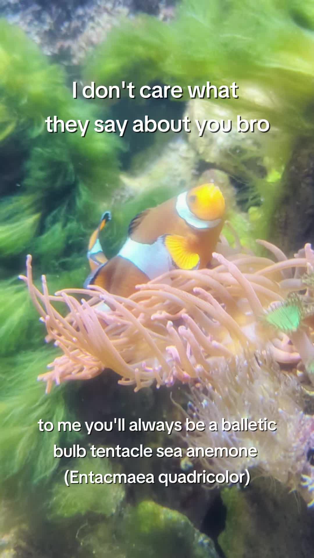 @BristolAquarium