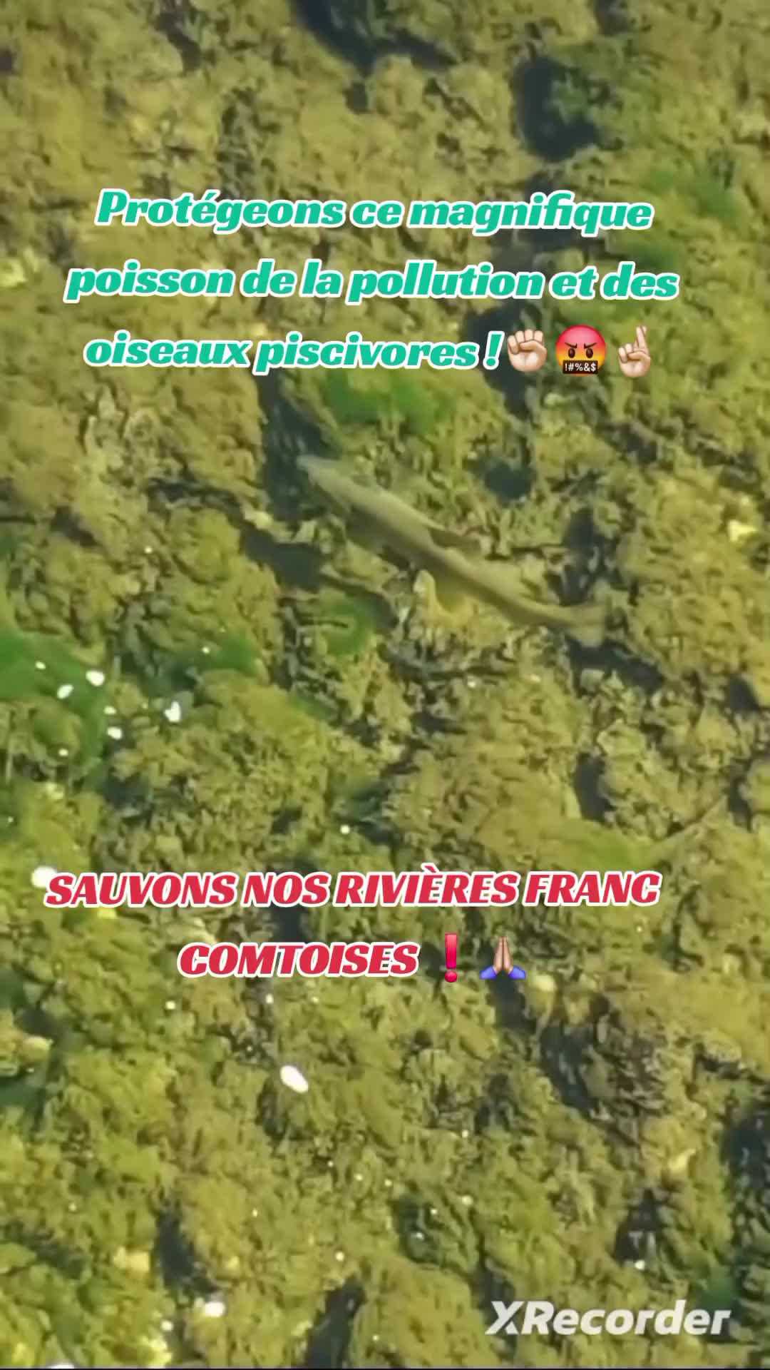 @rivi&egrave;res comtoises &agrave; l'agonie