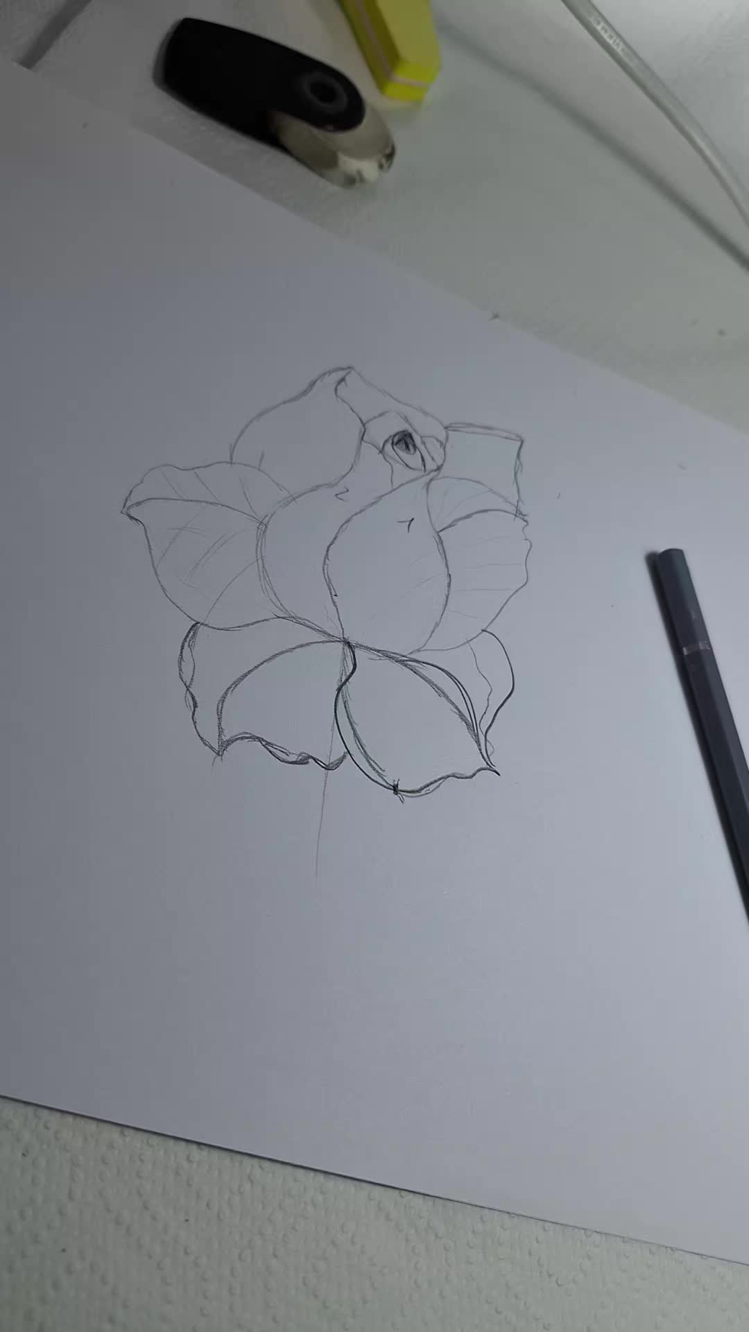 @Rosa Frongillo