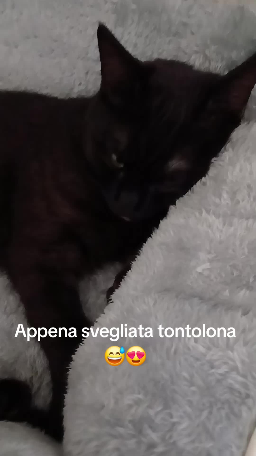 @Susy22