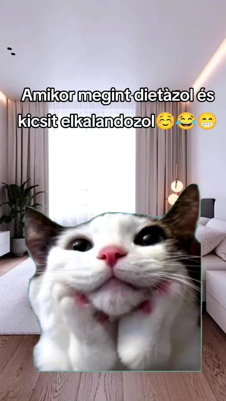@Zsuzsanna Handrik
