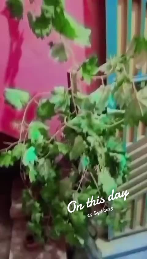 @Shaikh Gudu786