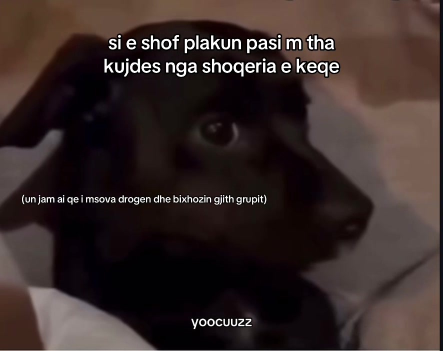 @yoocuuzz