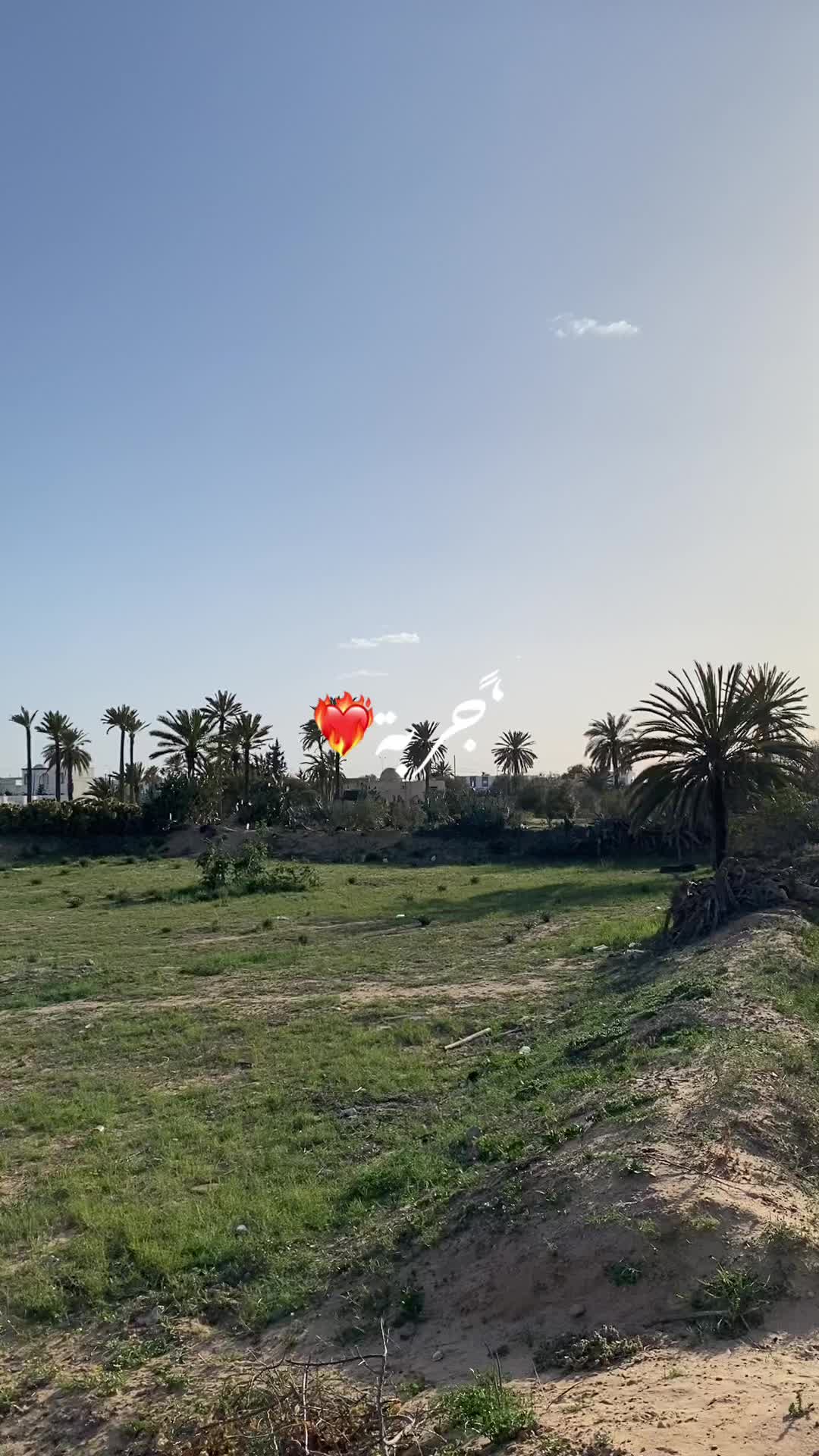 @Taki Bouznif