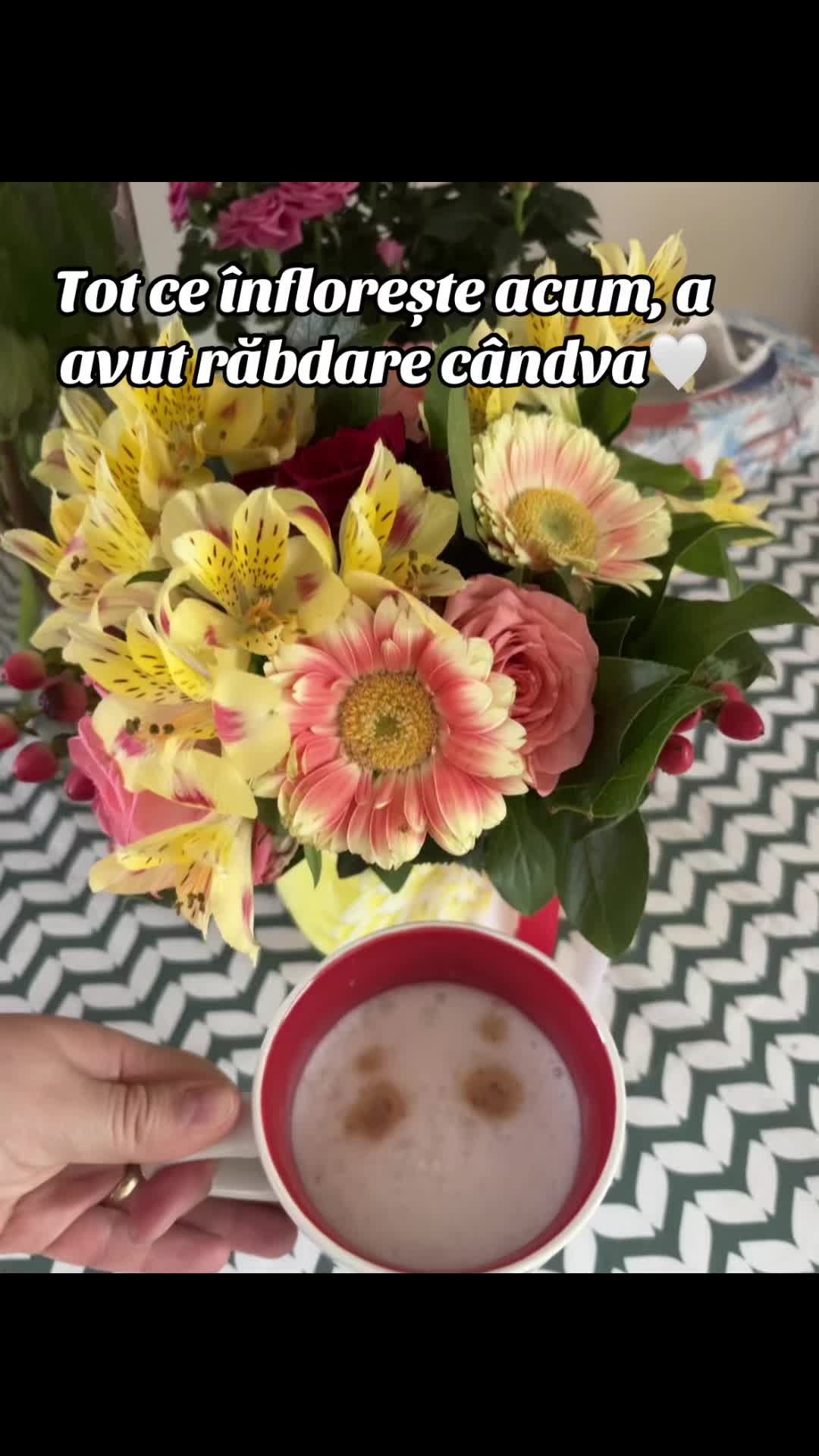 @Catalina Elena Puiu