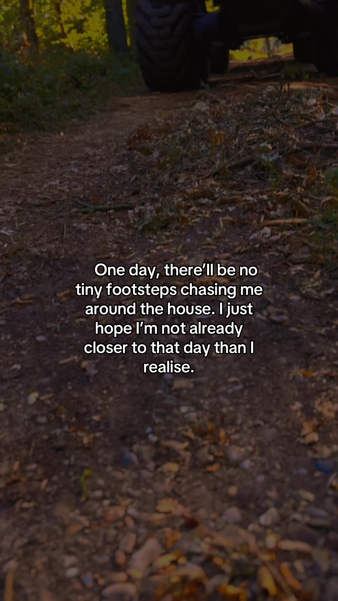 @🌲chase🌲