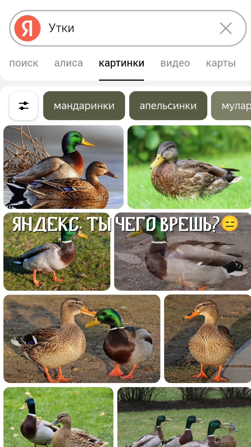 @RunArt24