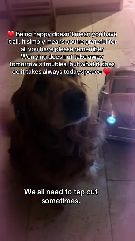 @Happy buddy
