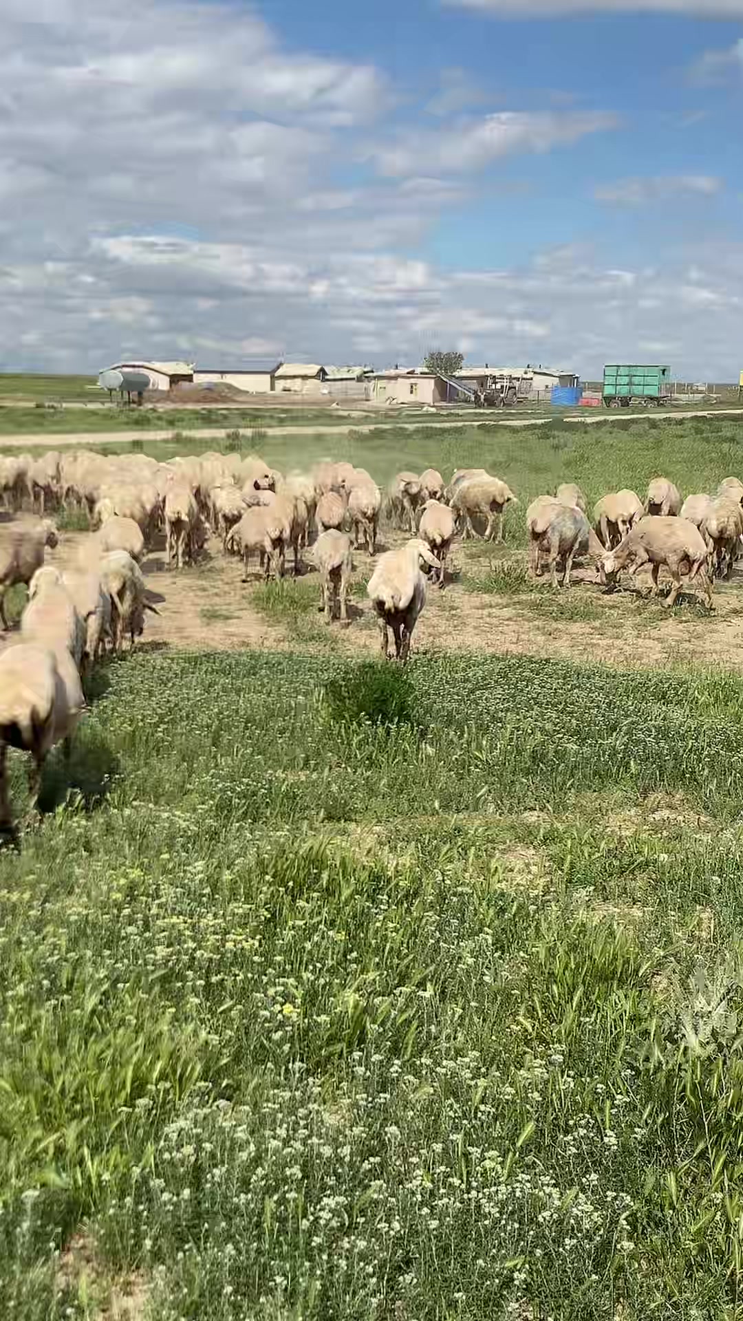 @Süleyman_bdcn