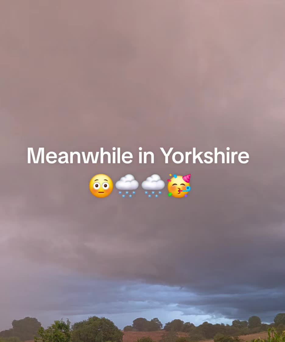 @Carrotman+Co ๐ฅ๐๐ธ