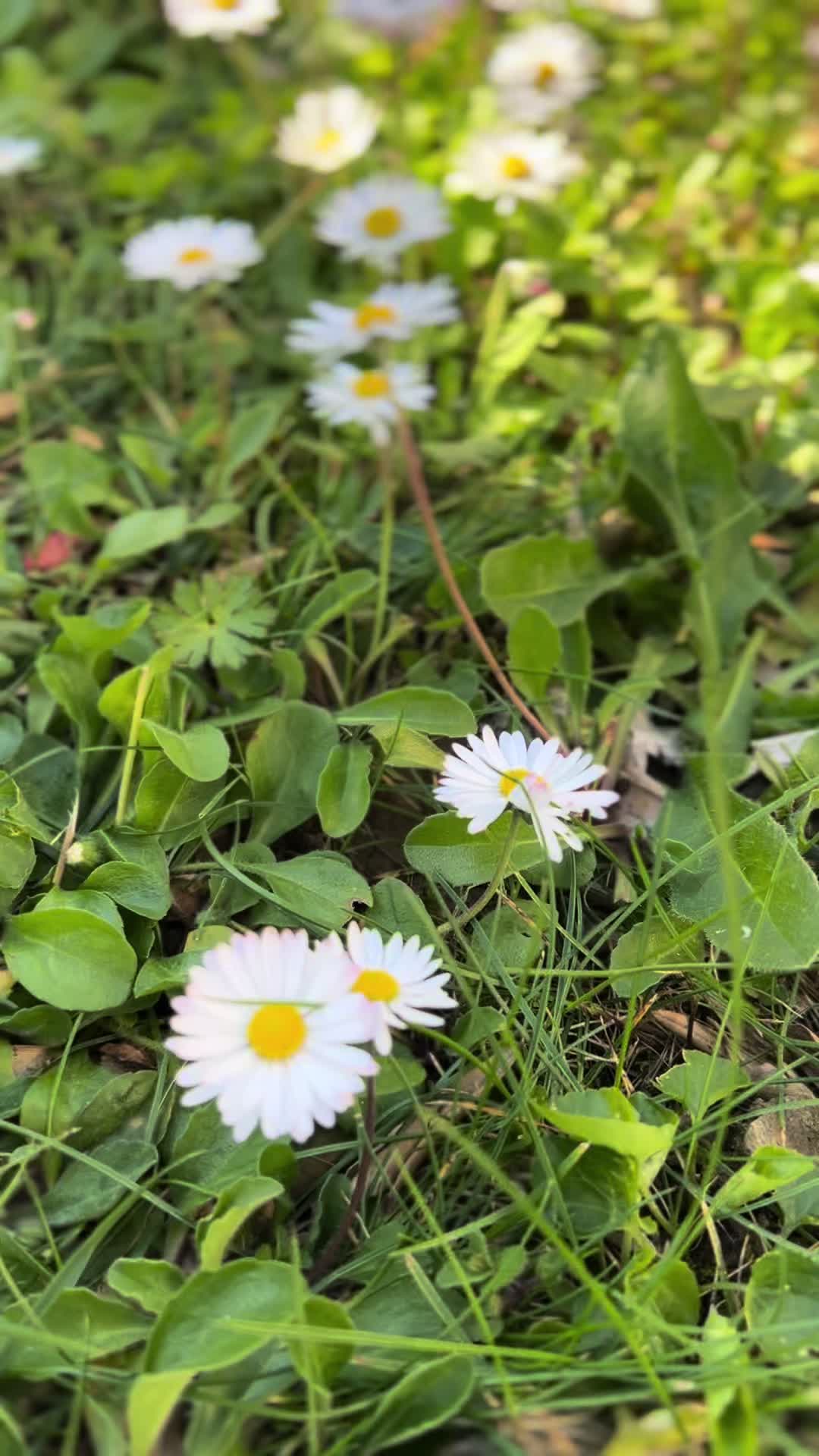 @Niki 72 🐞
