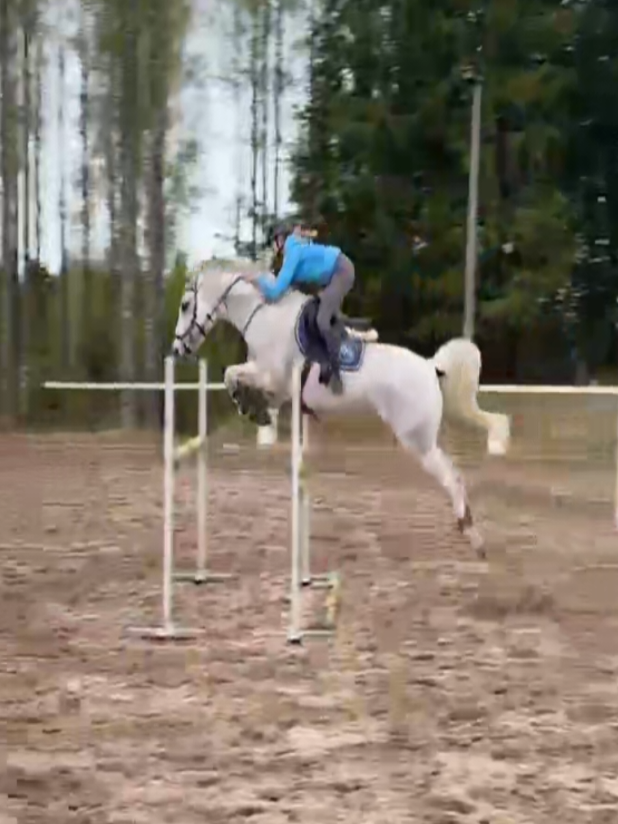@✨️Veera Kettunen ja Ievina✨️